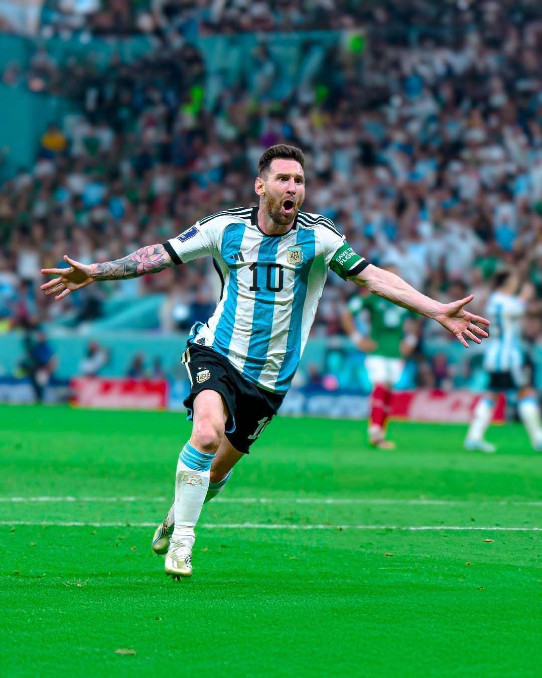 书籍在跳蚤 书籍在跳蚤