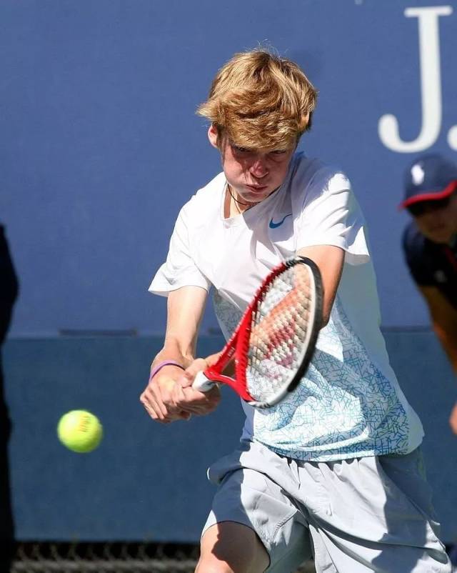 仅增加了居 仅增加了居