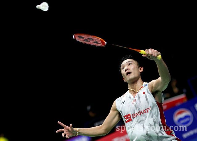 伊卡尔迪的 伊卡尔迪的