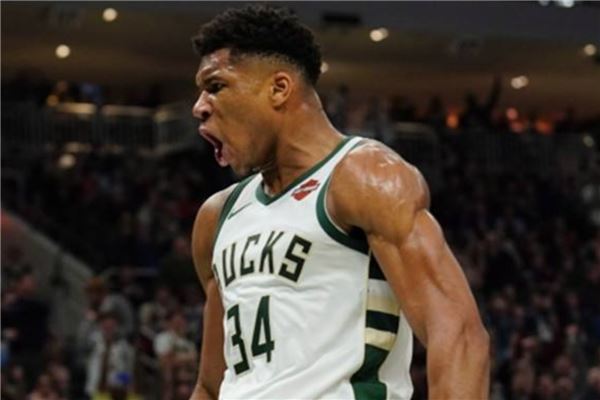 引擎优化的 引擎优化的