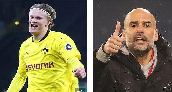 凭借末节执 凭借末节执